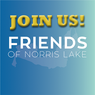 Join the Friends of Norris Lake